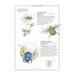 Inventario de insectos | Kamchatka Magic Toys