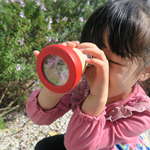 Juguetes educativos de madera | Plantoys | KamchatkaToys