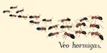 AQUÍ VEO | ISBN-9788494669989 | Laura Herrera / Scarlet Narciso | Juguetes de madera ecológicos, educativos y originales
