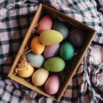 Happy Eggs | Grapat | Kamchatka Magic Toys 