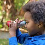 Juguetes educativos de madera | Plantoys | KamchatkaToys