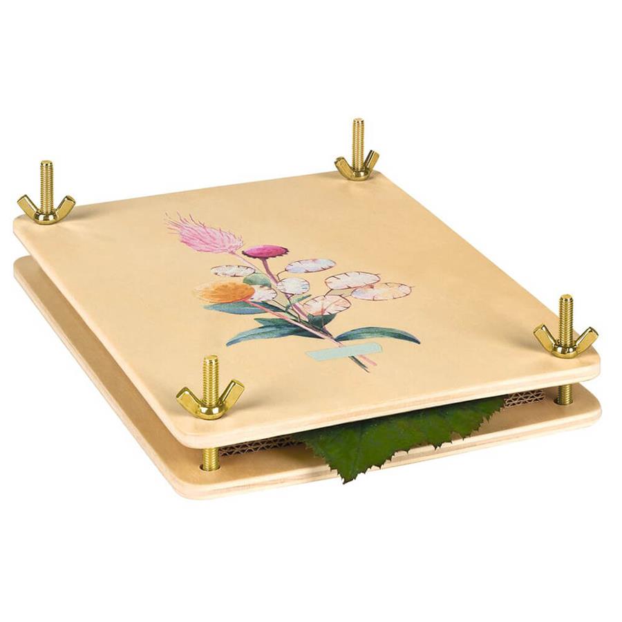 Prensadora de flores | Kamchatka Magic Toys