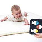 Flashcards de Alto Contraste para bebés | Kamchatka Magic Toys