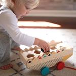 Arrastres de madera para niños | Petit Collage | Kamchatkatoys