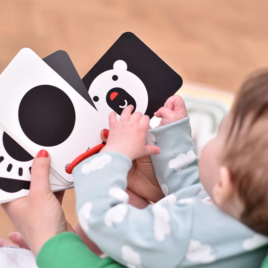 Baby Cards de Alto Contraste para bebés | Kamchatka Magic Toys