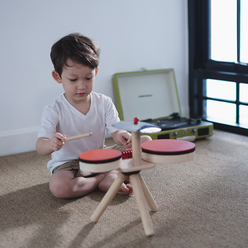 Bateria plantoys top