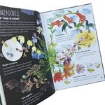 El gran libro de las flores | Kamchatka Magic Toys