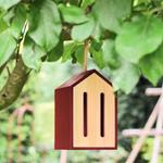 Refugio para mariposas | Juguetes Montessori | KamchatkaToys