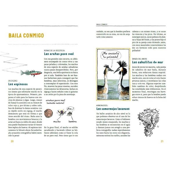 Lecturas a partir de 8 años | Libros de Takatuka | Kamchatkatoys