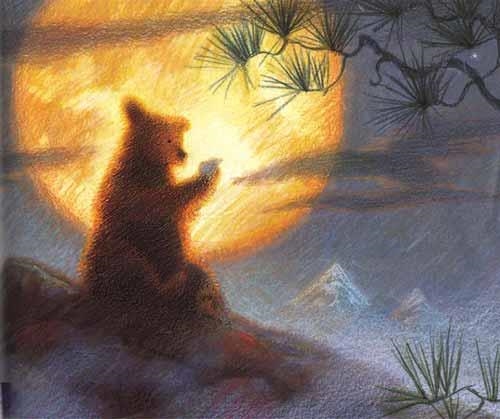 Libros para niños | La librería de Kamchatka | Leer con niños