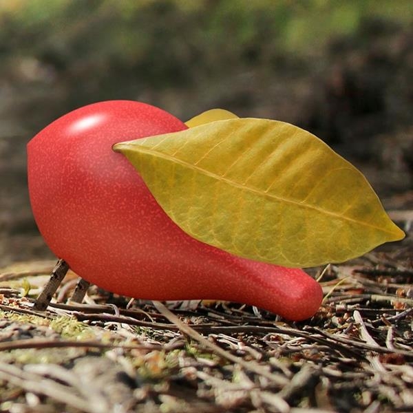 Juguetes Montessori y Waldorf | Juguetes ecológicos de madera