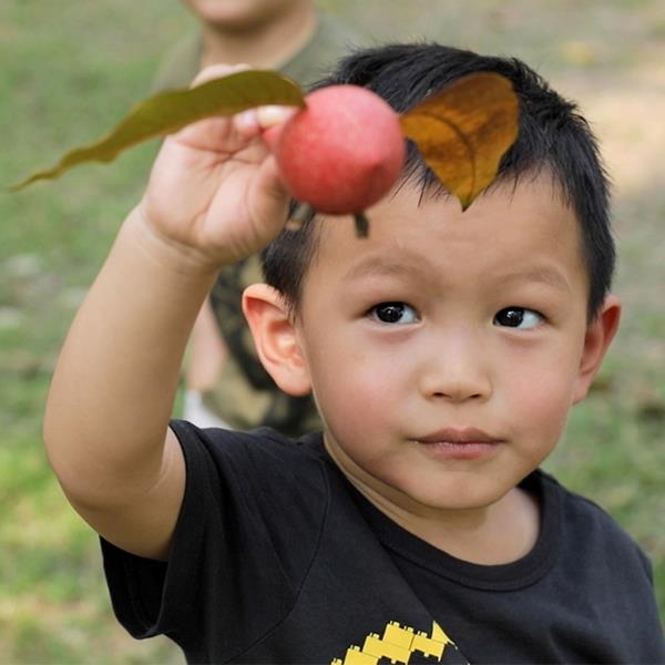 Juguetes Montessori y Waldorf | Juguetes ecológicos de madera