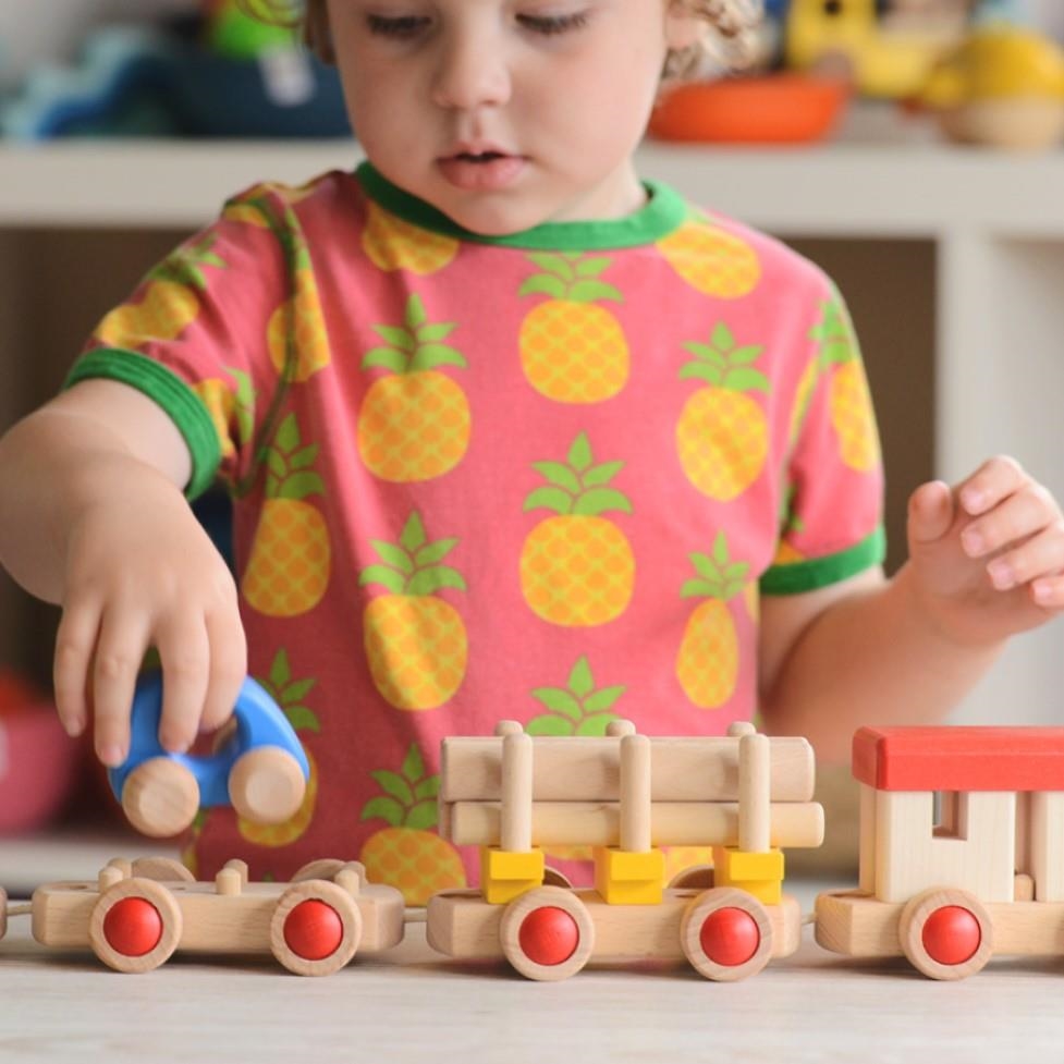 Trenes de madera | Bajo | Kamchatka Magic Toys