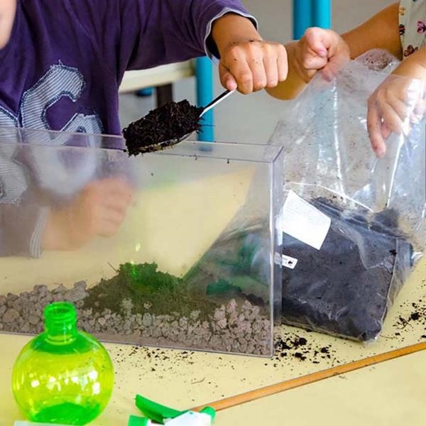 Vivarium Observatorio de Raíces | Juegos Montessori | Kamchatka