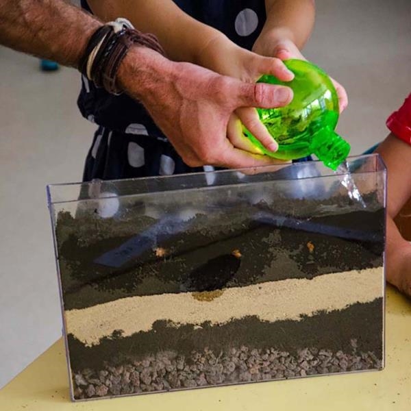 Vivarium Observatorio de Raíces | Juegos Montessori | Kamchatka