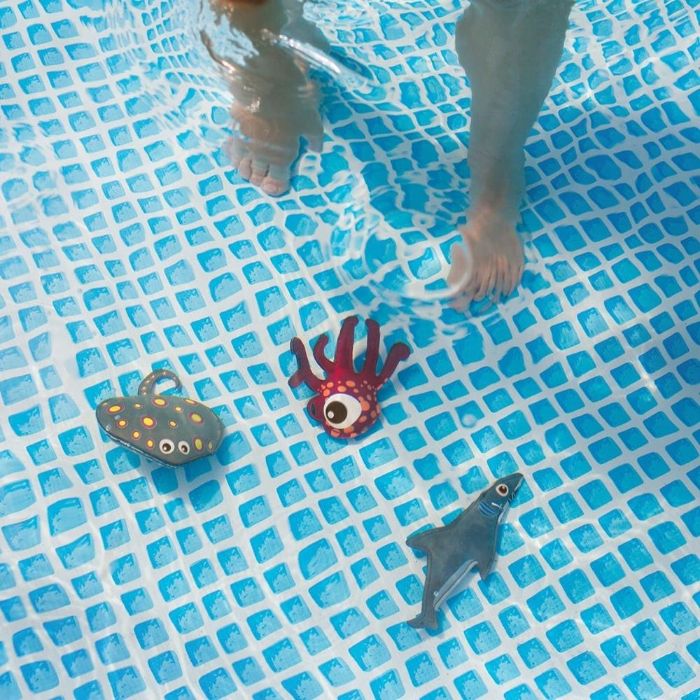 Animales de buceo | Juegos de exterior | Kamchatka Magic Toys