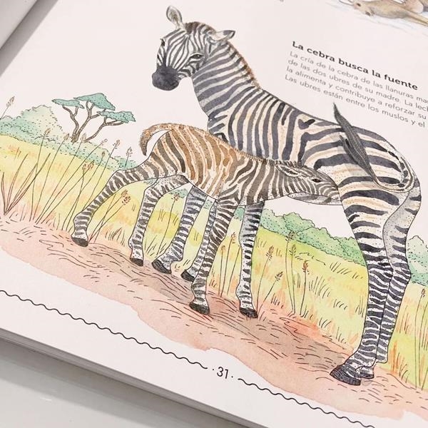Vivir | Kalandraka | La librería de Kamchatka
