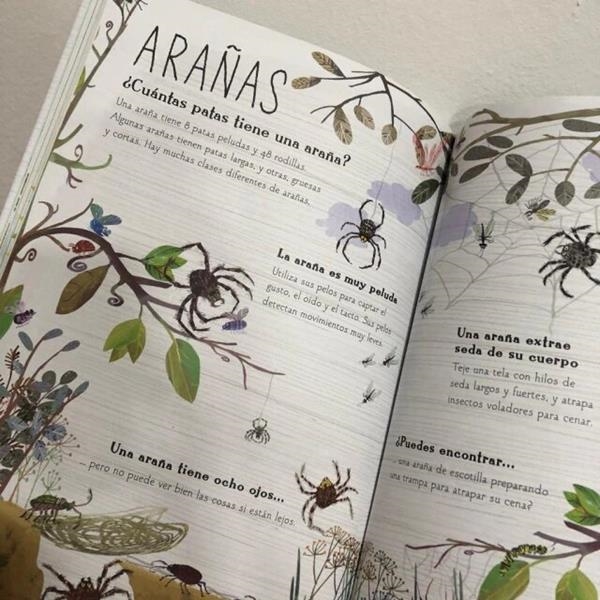 El gran libro de los bichos | Kamchatka Magic Toys