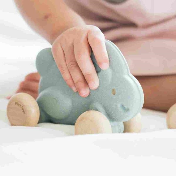 Empujes de madera | Plantoys | Kamchatka Magic Toys