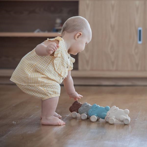 Empujes de madera | Plantoys | Kamchatka Magic Toys