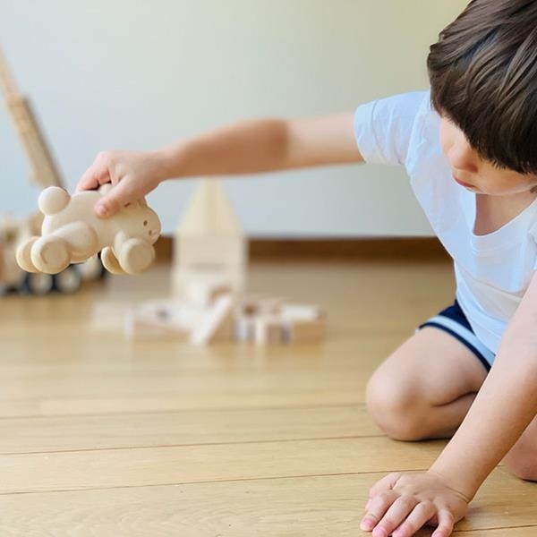 Empujes de madera | Plantoys | Kamchatka Magic Toys