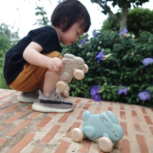 Empujes de madera | Plantoys | Kamchatka Magic Toys