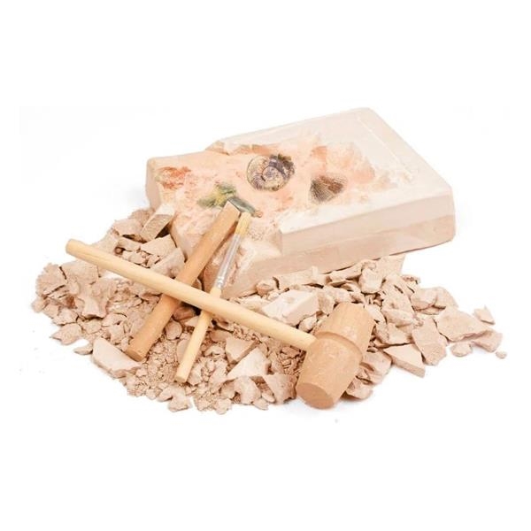 Descubre Fósiles | Juegos Montessori | Kamchatka Magic Toys