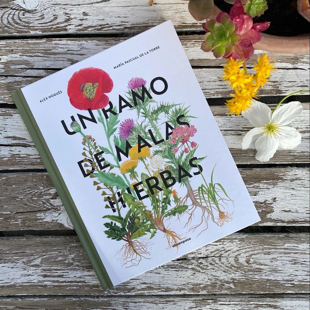 Un Ramo de malas Hierbas | Libros para niños | KamchatkaToys