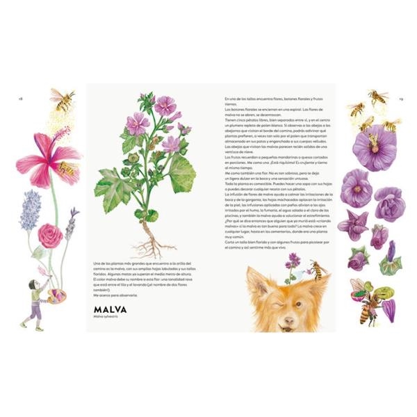 Un Ramo de malas Hierbas | Libros para niños | KamchatkaToys