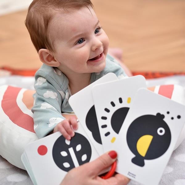 Baby Cards de Alto Contraste para bebés | Kamchatka Magic Toys