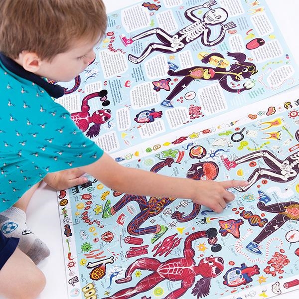 My Body | Puzzle del cuerpo humano | Kamchatka Magic Toys