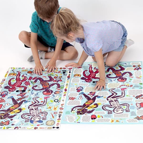 My Body | Puzzle del cuerpo humano | Kamchatka Magic Toys