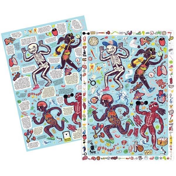 My Body | Puzzle del cuerpo humano | Kamchatka Magic Toys