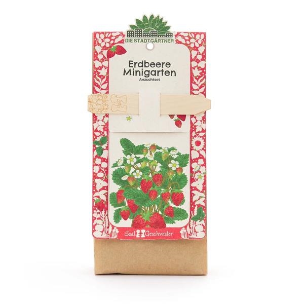 Set Cultivo Fresas para Niños | Mini-Jardín | Kamchatkatoys