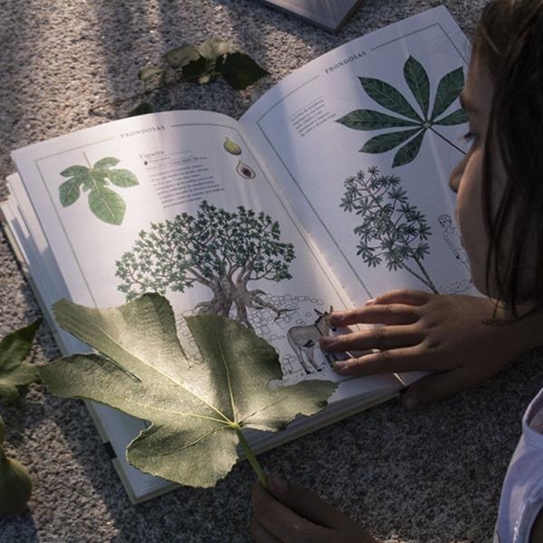 Inventario de Árboles | Libros de Divulgación para niños y niñas