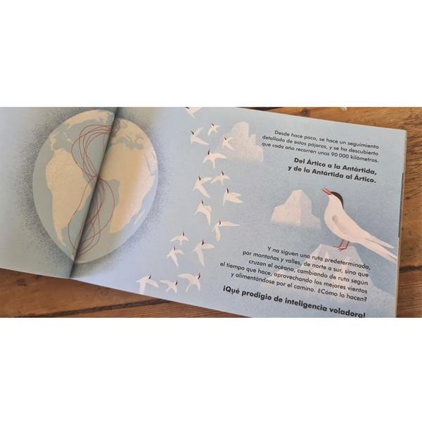 Redescubrir el mundo | Akiara books | Kamchatka Magic Toys