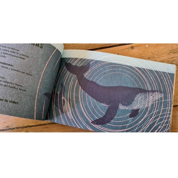 Redescubrir el mundo | Akiara books | Kamchatka Magic Toys