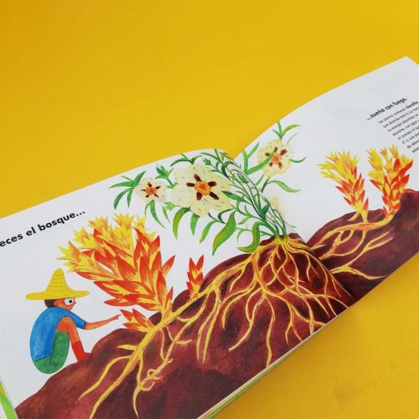 A veces el Bosque | Akiara Books | Kamchatka Magic Toys