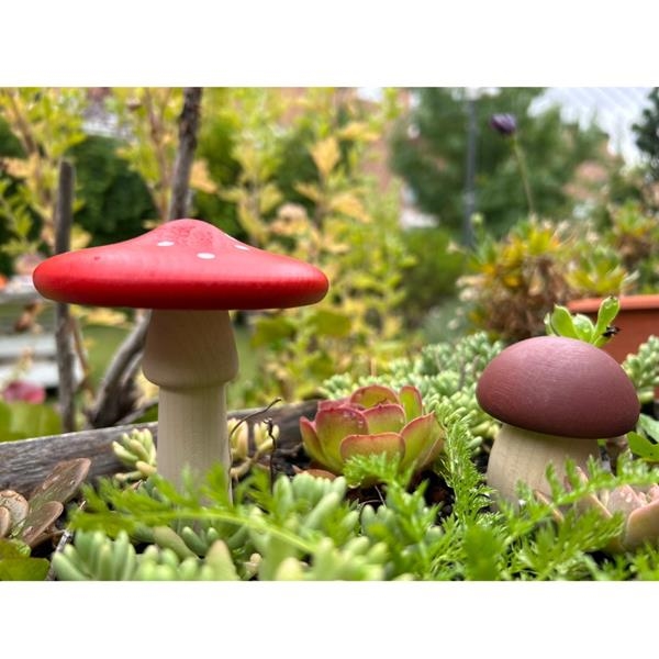 Clasificar Setas | Bajo | Juguetes Montessori en Madrid