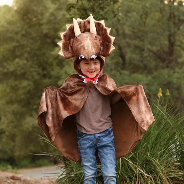 Disfraz Triceratops para niños | Great Pretenders | KamchatkaToys