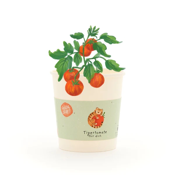 Kit Semillas Tomate Tigre | Jardinería con niños | KamchatkaToys
