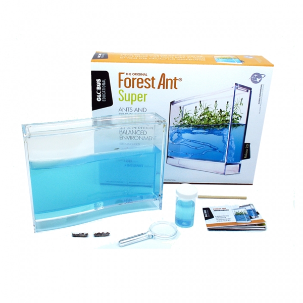 ECO TERRARIUM (FOREST ANT) | GL-2502 | Juguetes de madera ecológicos, educativos y originales