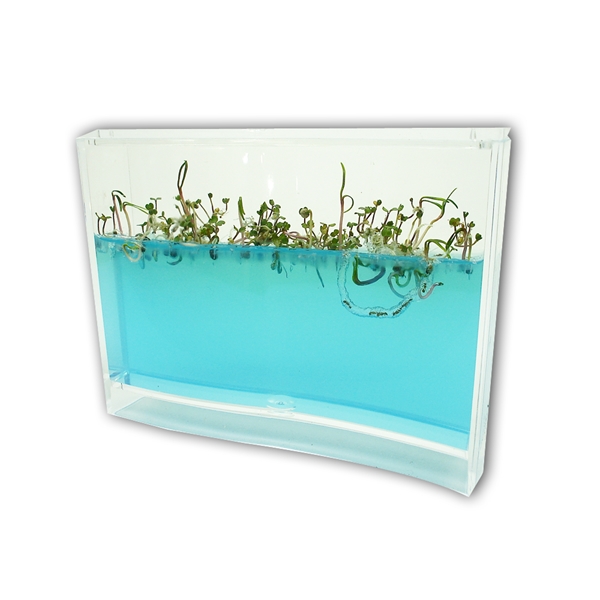 ECO TERRARIUM (FOREST ANT) | GL-2502 | Juguetes de madera ecológicos, educativos y originales