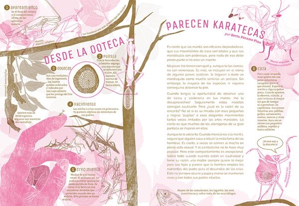 Revista ¡La leche! | Kamchatkatoys